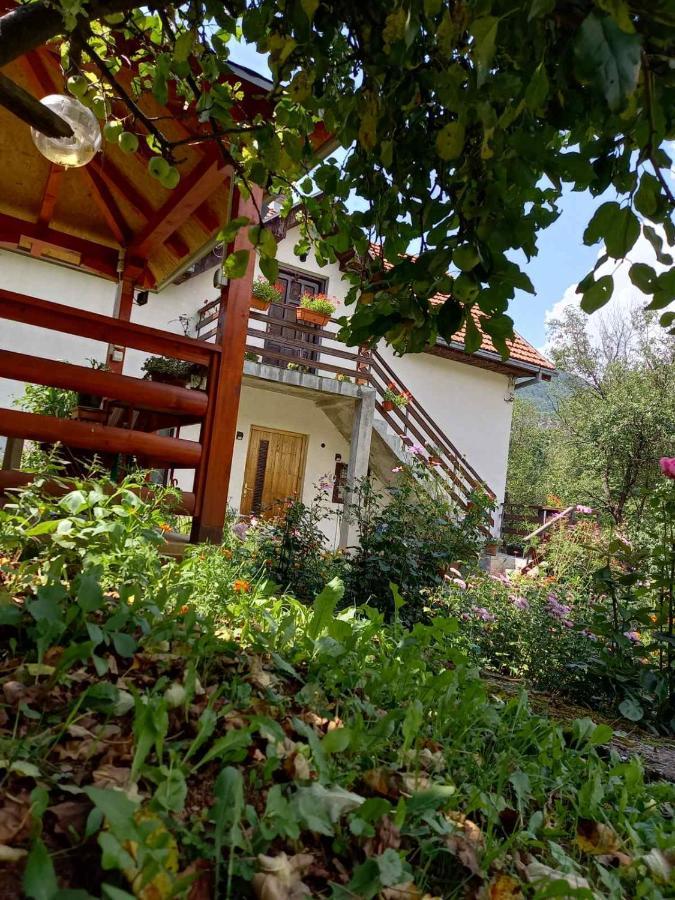 Apartment Sijakovic Mokra Gora Dış mekan fotoğraf