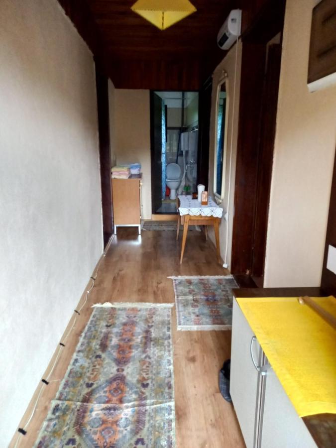 Apartment Sijakovic Mokra Gora Dış mekan fotoğraf