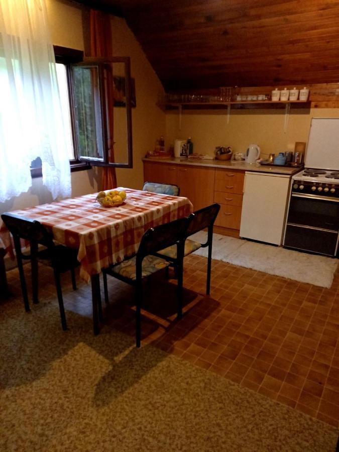 Apartment Sijakovic Mokra Gora Dış mekan fotoğraf