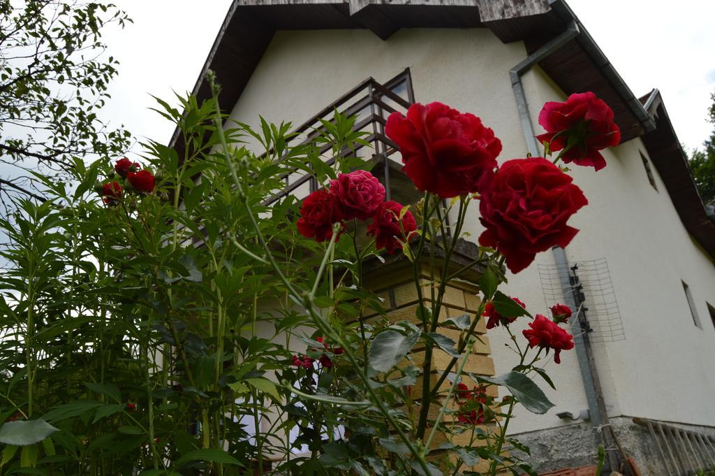 Apartment Sijakovic Mokra Gora Dış mekan fotoğraf