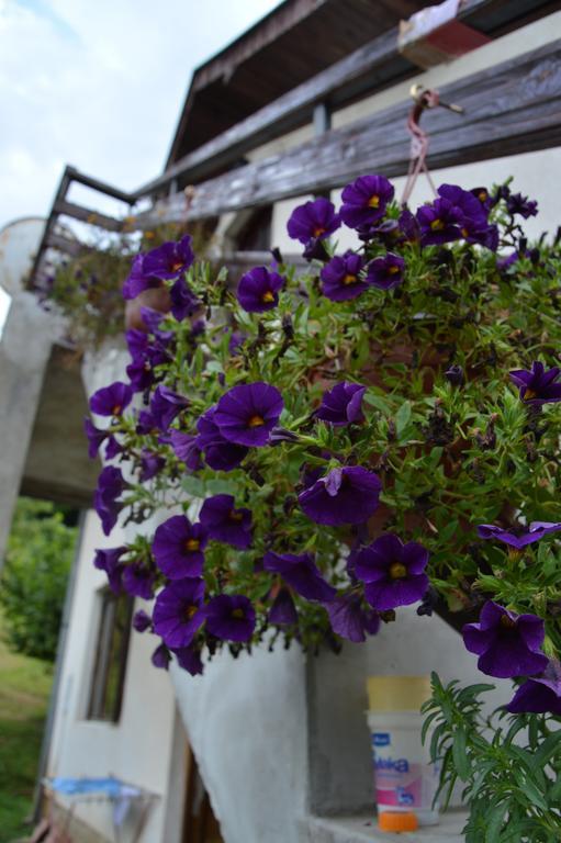 Apartment Sijakovic Mokra Gora Dış mekan fotoğraf